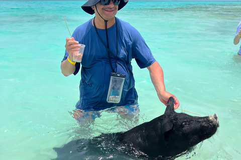 007-Mañana Todo Incluido Nadar con Cerdos en la Isla Rosa007 Todo Incluido-Nadar con cerdos en la Isla Rosa