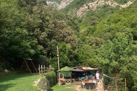 Z Tivat: całodniowa wycieczka do ukrytych skarbów baruZ Tivatu: Odkrywanie ukrytych klejnotów Czarnogóry