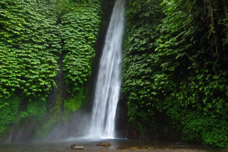 Bali: geheime en ontoeristische rondreis door Noordwest-Bali.