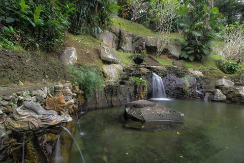 Bali: Visita espiritual com meditação e cerimónia Puja