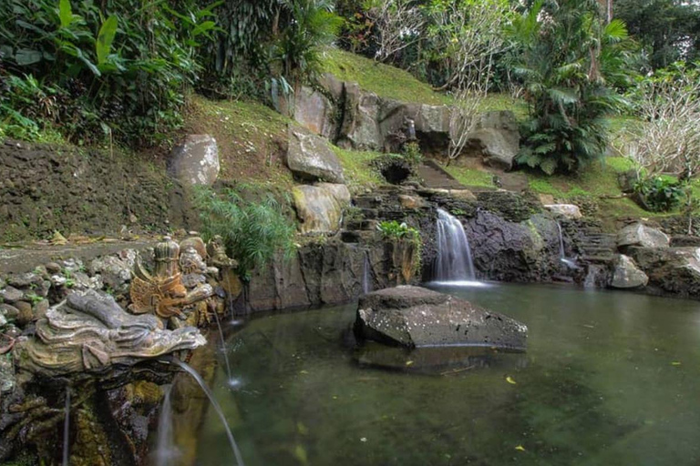 Bali: Visita espiritual com meditação e cerimónia Puja