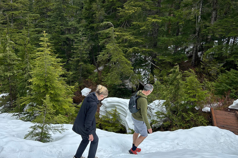 The Vancouver Summit Walk