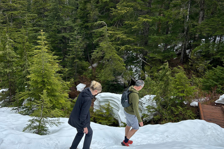 The Vancouver Summit Walk