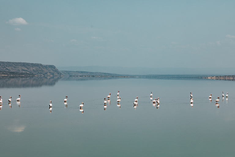 Jezioro Magadi