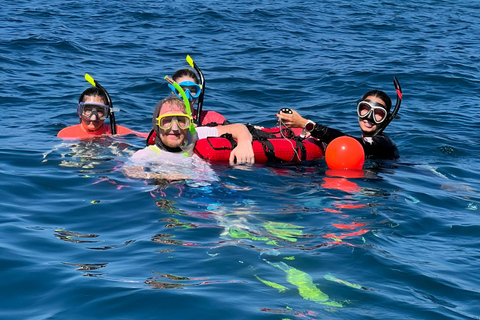 Cartagena: Snorkeling and Hookah Diving in the Rosario Islands