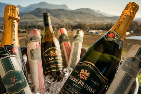 Cape Town: Wine Lover Winelands Tour with Private Transfer