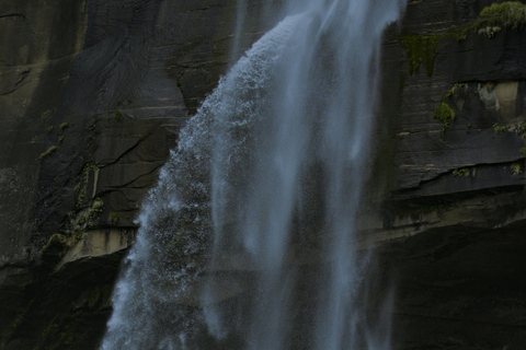 Colombo to Aberdeen Falls Train Tour with private vehicle