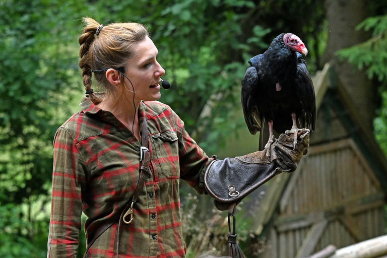 Ruhla: bilhete para um espetáculo aéreo com águias, corujas e muito mais.Ruhla: Bilhete para um show aéreo com águias, corujas e outros animais