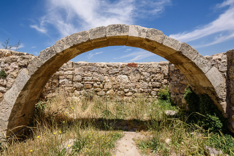 De la Mer Morte : Amman, Madaba et le mont Nebo Journée complèteTransport et billets d'entrée pour tous les sites