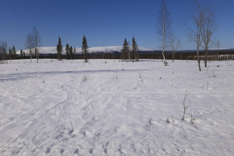 Levi: Photo Snowmobile Tour & Campfire Break