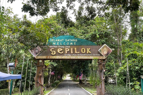 Sepilok OrangUtan, Sun Bear e Labuk Bay Giornata intera (PVT)