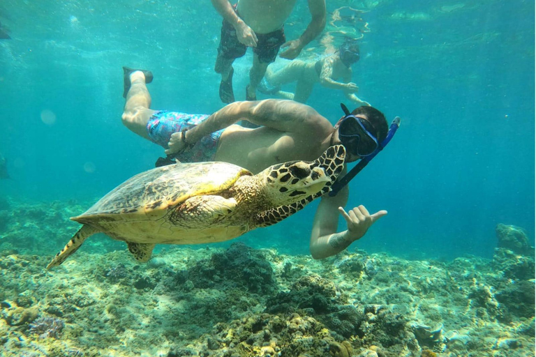 Vanaf Gili Air eiland : Groep/Publiek snorkelen 3 Gilis