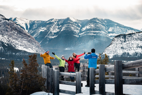 Banff: Wildlife and Sightseeing Minibus TourWinter Tour