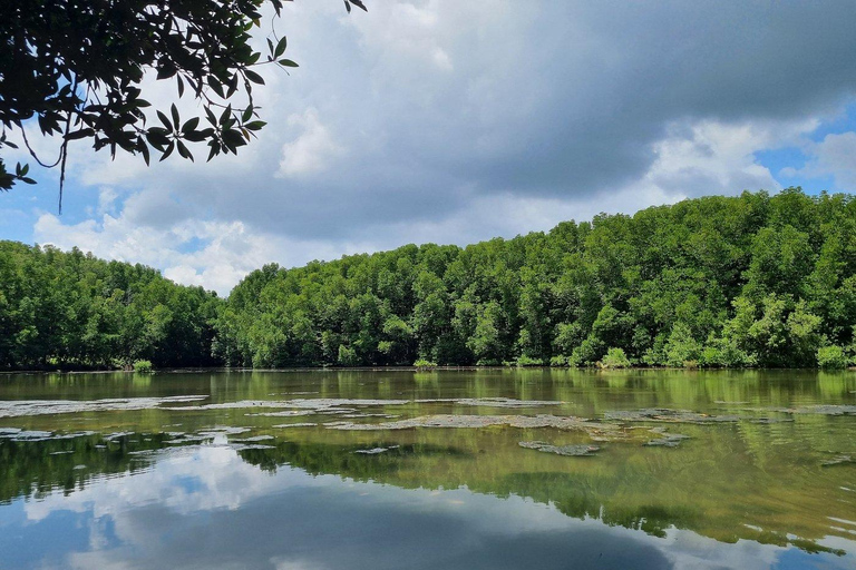 Depuis Ho Chi Minh : Île aux singes de Can Gio - Réserve de mangroves