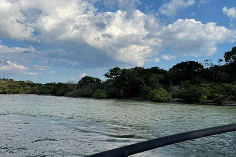 Jari Canal and Flavors of Vitória-Régia: Amazon River Experience