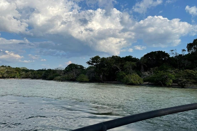 Jari Canal and Flavors of Vitória-Régia: Amazon River Experience