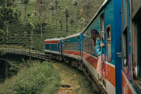 From Hikkaduwa: Ella Private Day Trip with Train Ride