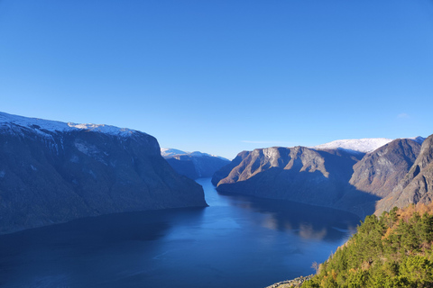 Bergen Private Tour: Nærøyfjord with Stegastein & Flåmsbana