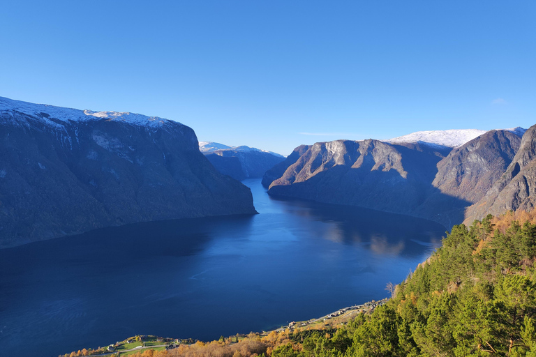 Bergen Private Tour: Nærøyfjord with Stegastein & Flåmsbana