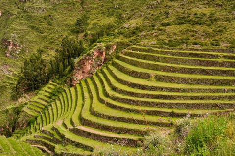 Cusco: Trasferimento privato da Cusco a Pisac