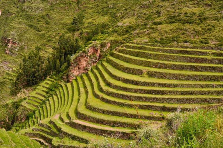 Cusco: Trasferimento privato da Cusco a Pisac