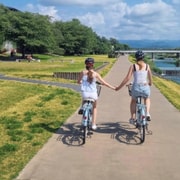 Private E-Bike Zen Tour: Golden Pavilion, Kamo River & Mochi