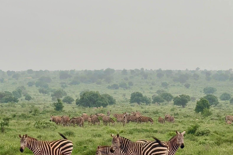 3-Day Safari in Tsavo East, Ngutuni, & Salt Lick – Big Five & Sunset Views 3-Day Safari in Tsavo East, Ngutuni & Salt Lick – Big Five & Sunset Views