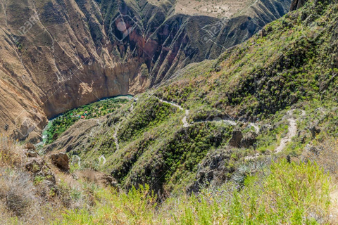 COLCA TREK - 2 DAGAR - DEN BÄSTA VANDRINGENfrån Arequipa: vandring 2 dagar 1 natt - colca canyon