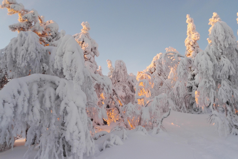 Rovaniemi: sneeuwschoenwandelen dagtrip met lunch - Pyhä-LuostoRovaniemi: Sneeuwschoenwandeling dagtrip met lunch - Pyhä-Luosto