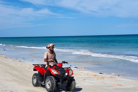 Djerba: Ride to the Pink Flamingo Peninsula by Electric Bike