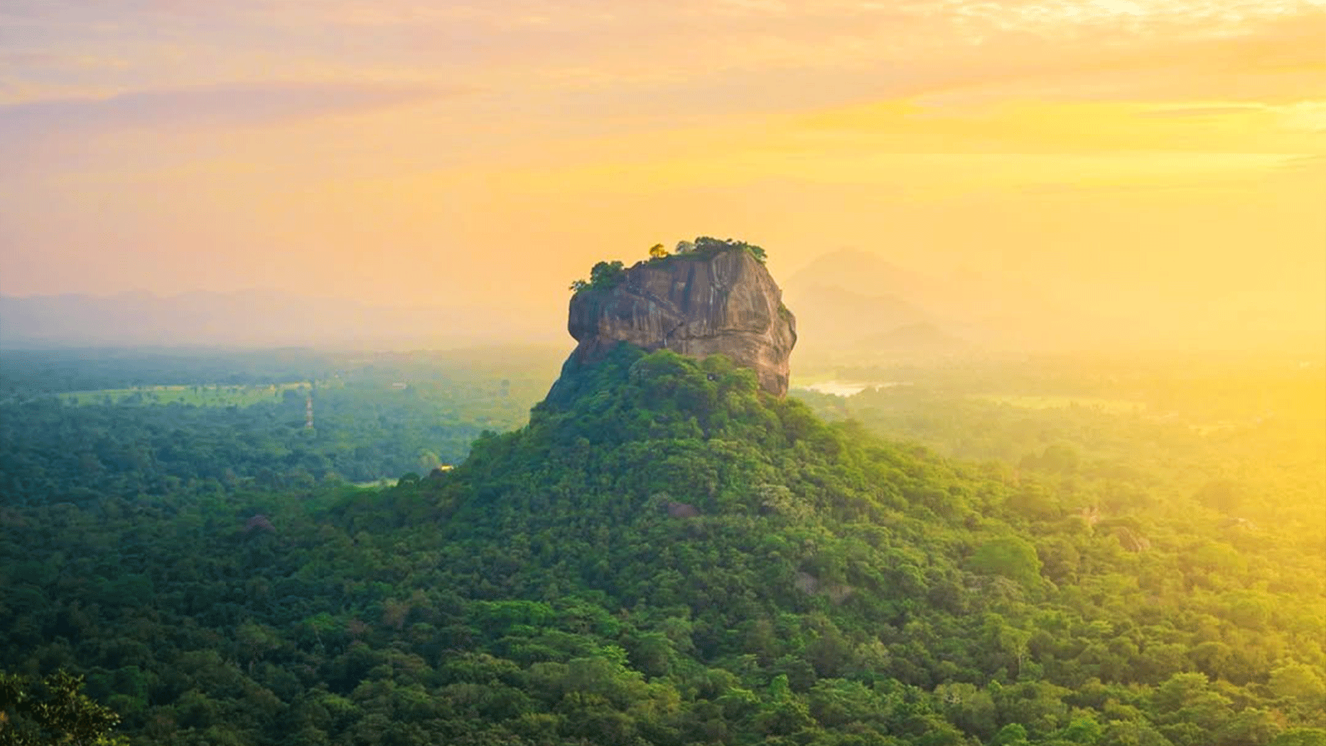 Sigiriya Lion Rock Wanderung & Minneriya Nationalpark Safari