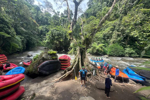 Ubud Adventure: Buggy Ride, Water Rafting, Coffee Plantation ubud; UTV buggy only without transportasi