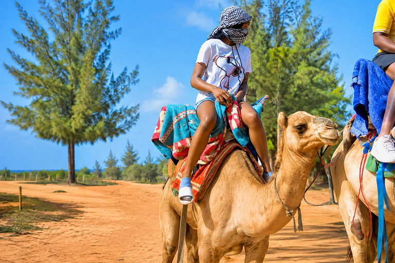 From Dakar or Mbour: Pink Lake with ATV, canoe, camel, lunch