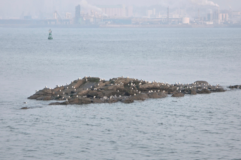 Incheon Landing Operation: History Tour with Col VINCERO