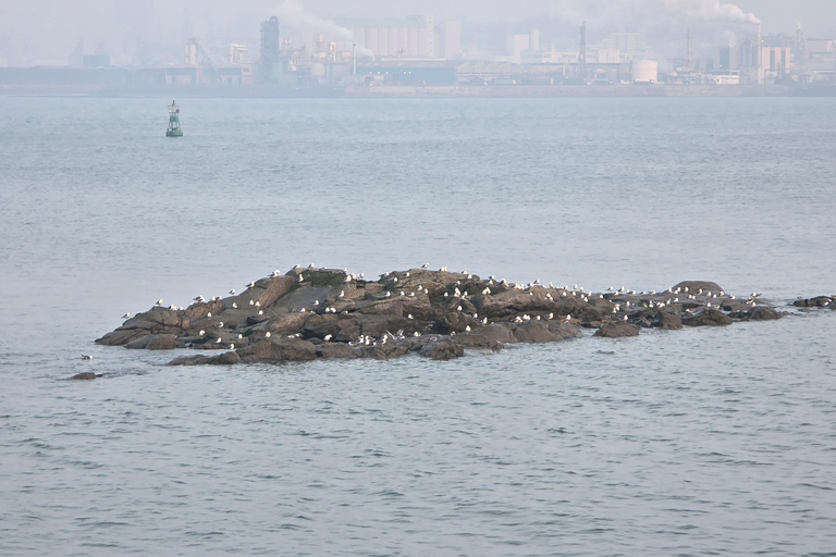 Incheon Landing Operation: History Tour with Col VINCERO