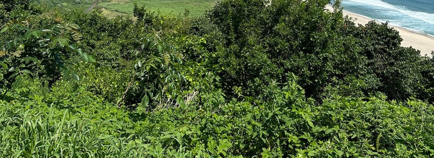 Séoul : Montagne Seorak, DMZ Est, et visite de Sokcho