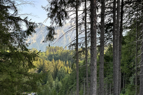 La foresta come Escape Room per tutta la famiglia