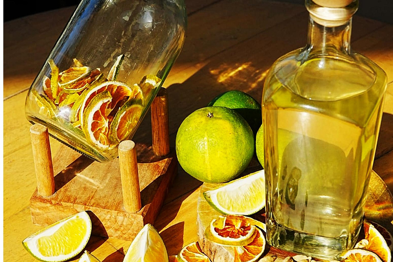 Santa Marta: 7 Types of Rum Tasting Experience