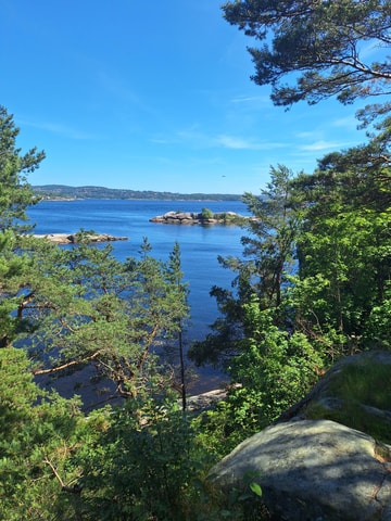 Kristiansand: Walking Tour on Ex-Military island Odderøya