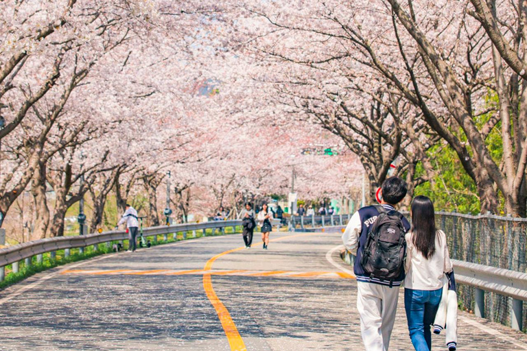Busan: Gyeongju Heritage Highlights with Spring Blossoms