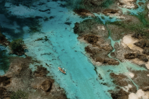 From Caye Caulker: One way share transfer to Bacalar GuateGo - Holbox Express