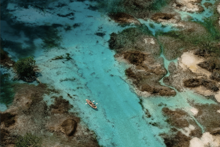 From Caye Caulker: One way share transfer to Bacalar GuateGo - Holbox Express