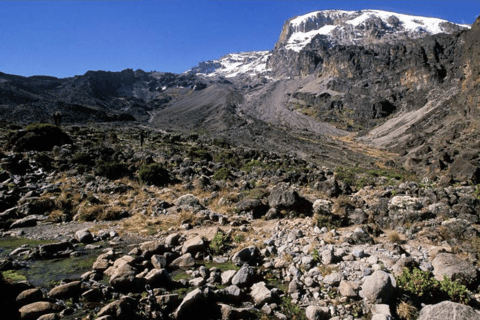 莫希：乞力马扎罗山马兰古路线 2 日徒步