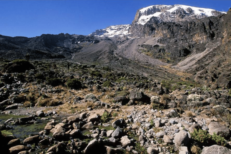 莫希：乞力马扎罗山马兰古路线 2 日徒步