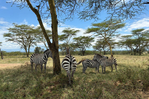 Nairobi: Lake Nakuru National Park and Lake Naivasha Tour