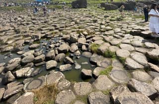Ab Belfast: private Tour zum Giant's Causeway, 8 Personen