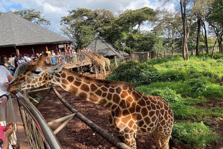 Tour del Centro delle Giraffe, dell'Orfanotrofio degli Elefanti e di Bomas Nairobi