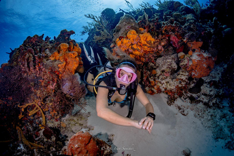 Cancún: Buceo certificado con 2 tanques: Explora Arrecifes Poco Profundos