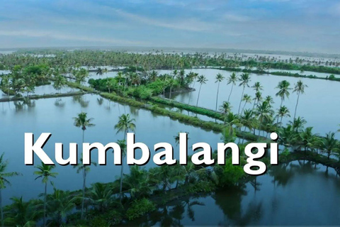 Kochi: Ultimate Kerala and Kumbalangi Village Same Day Tour