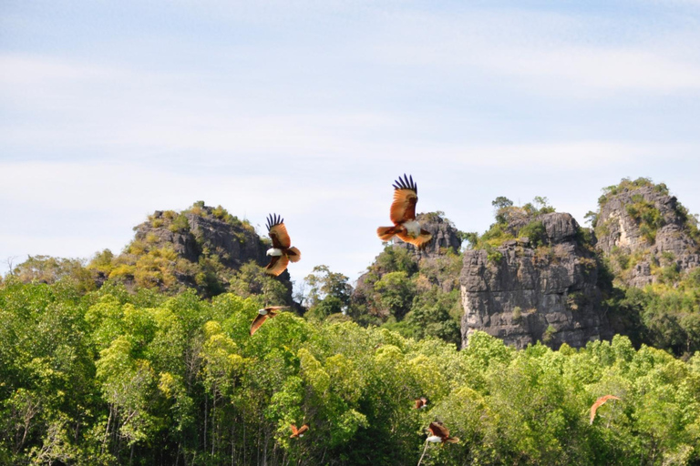 Langkawi Signature Mangrove Discovery Bootstour (geteilt)Signature Mangrove Discovery Bootstour - 4 Stunden (geteilt)